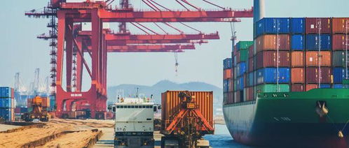 宁波货代乱象丛生，如何找到可信赖的货运代理