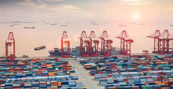 一切要从传统货代转型经营跨境电商物流说起