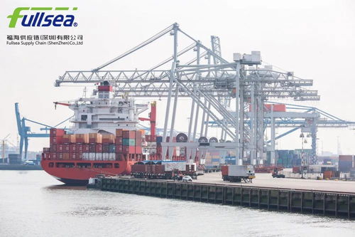 货代人如何打造专业人设 打造信任与价值的货运代理形象